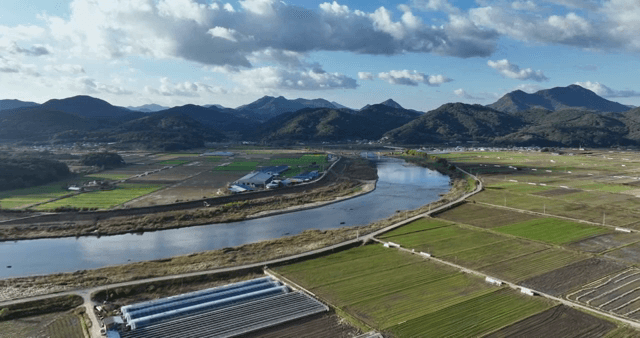 구불구불한 강이 있는 넓은 농지