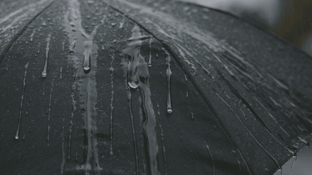 Raindrops falling on a black umbrella