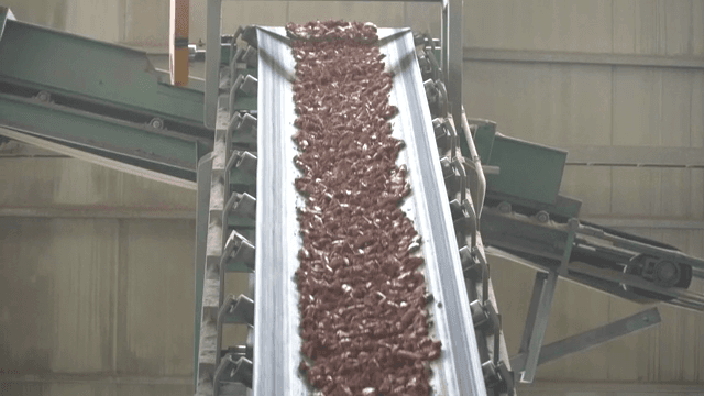 Conveyor belt transporting soil