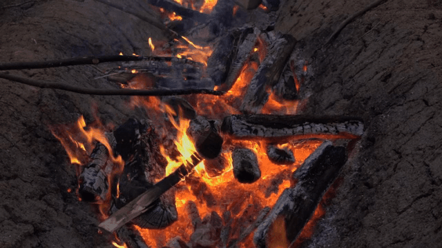 Burning logs with bright flames