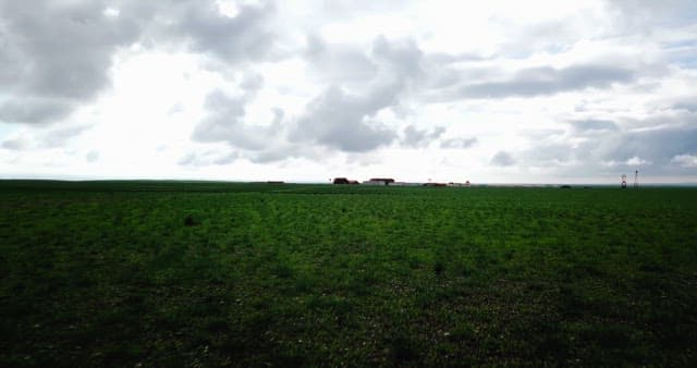 Vast green fields under a cloudy sky