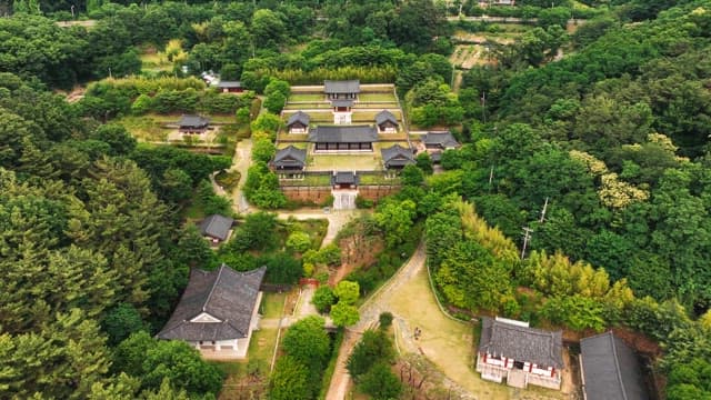 Traditional Korean houses surrounded by lush forest