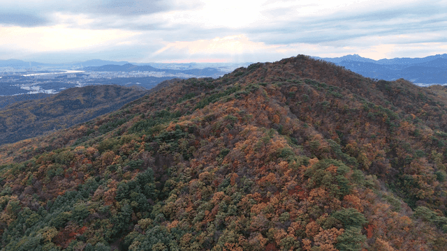Mountain scenery with autumn foliage.