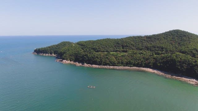 Serene coastal landscape with lush greenery