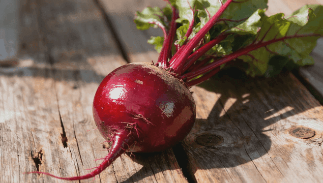 나무 표면 위의 신선한 비트