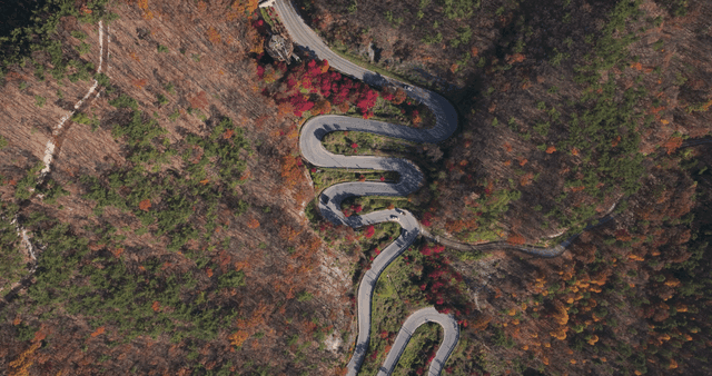 가을 단풍이 있는 구불구불한 숲길