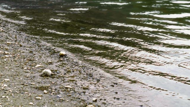 잔잔한 파도와 강가의 자갈들