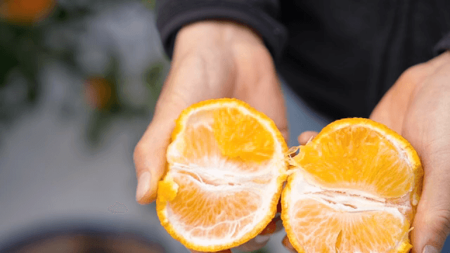 신선한 오렌지를 까는 손