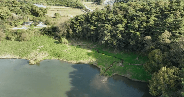 A serene lake surrounded by lush greenery