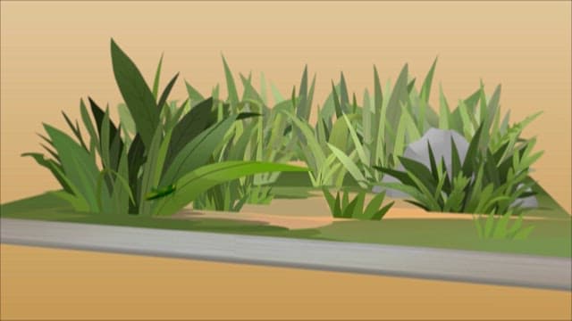 생동감 넘치는 숲속의 야생동물 애니메이션