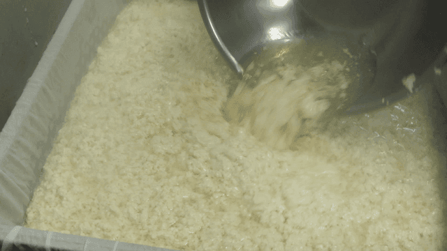 Tofu poured into mold covered with cotton