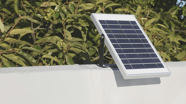 흔들리는 나뭇잎과 태양광 패널