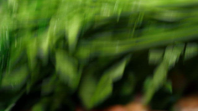 Cut water parsley on top of pork belly