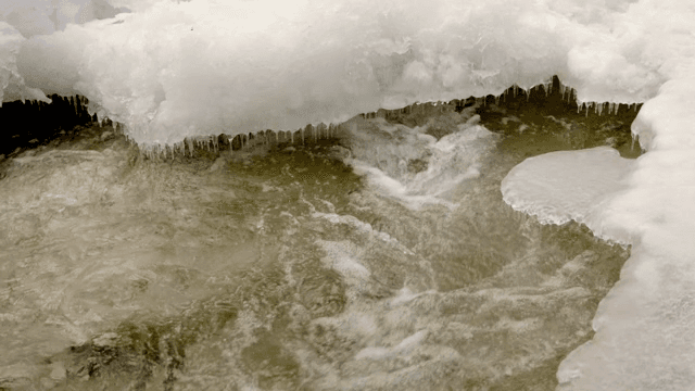 River flowing under a layer of ice