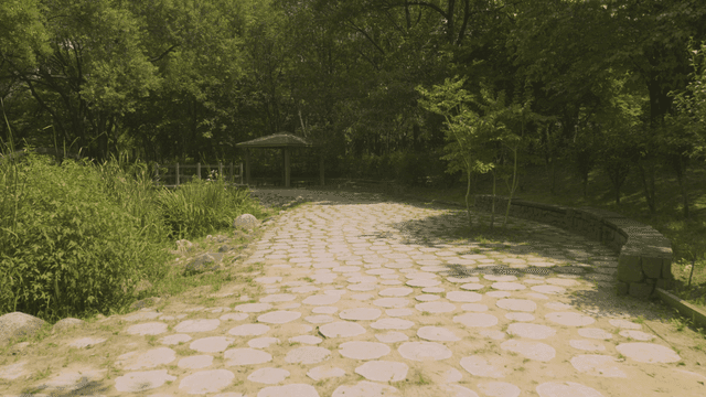 정자가 있는 고요한 숲길