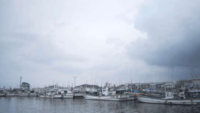 Fishing boats docked at a harbor