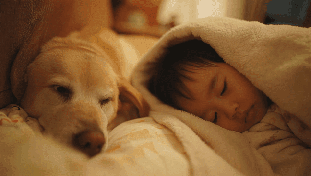 Child and a dog sleeping peacefully