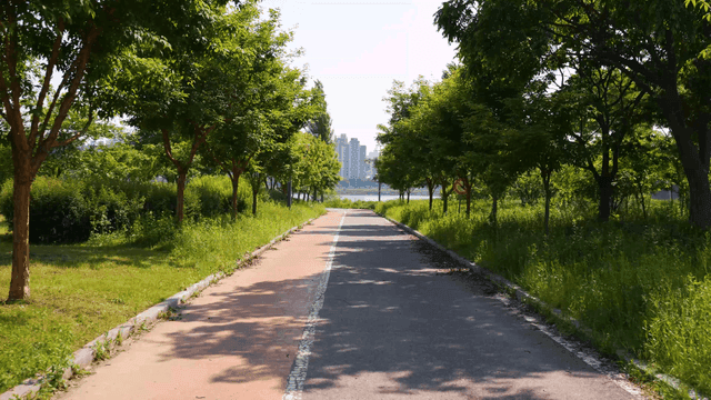 Tree-lined walkways and city views