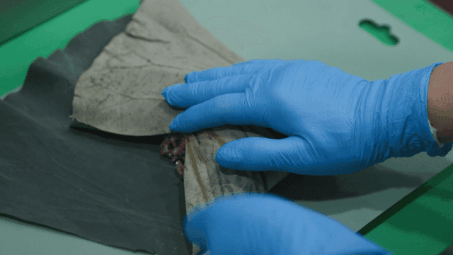 Sight of wrapping rice in lotus leaf