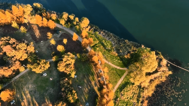 가을 단풍이 든 공원의 항공 뷰