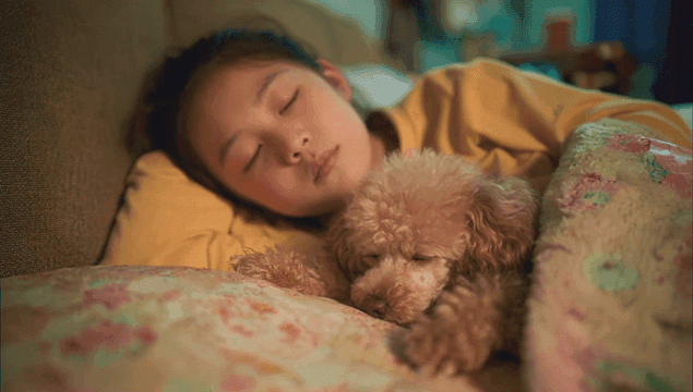 Child sleeping with a small dog
