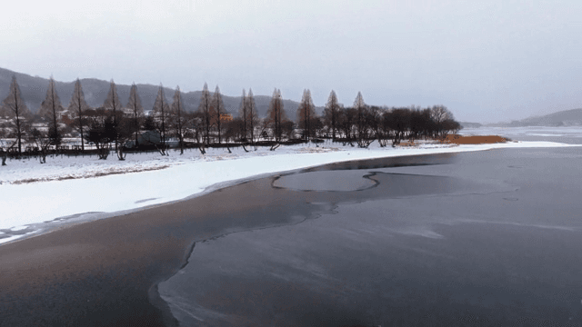 나무가 있는 눈 덮인 호숫가