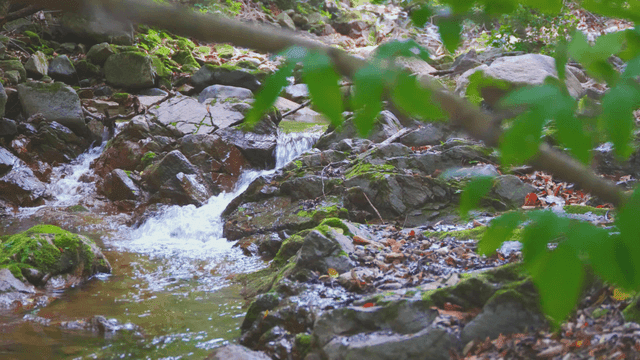이끼 낀 바위를 흐르는 작은 시냇물