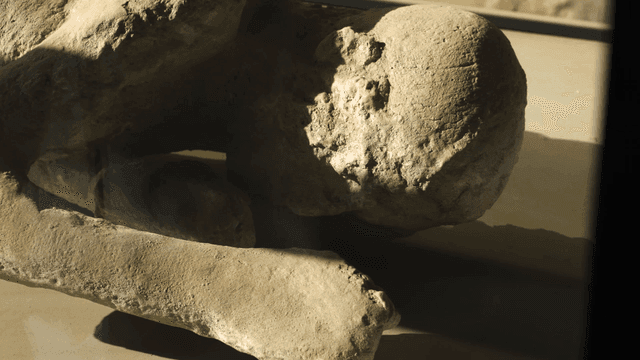 Ancient artifact displayed in a museum