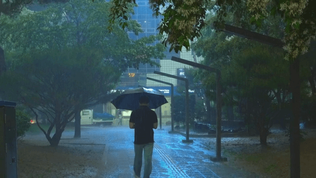 비 오는 날 우산을 쓰고 걷는 남자의 뒷모습