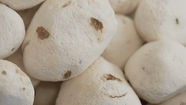 바구니에 담긴 동결 건조된 감자 더미