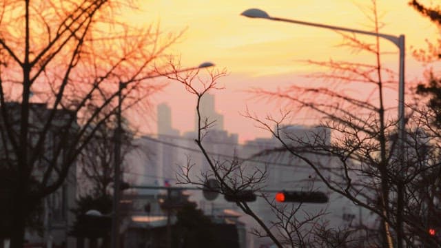 Traffic lights and streetlights in a city with many buildings at sunset