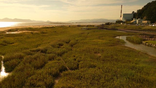 Vast meadow with view of sea in distance