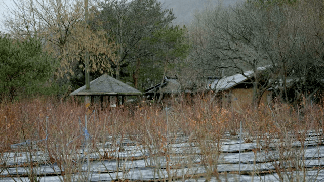 Rural area with a rain hut