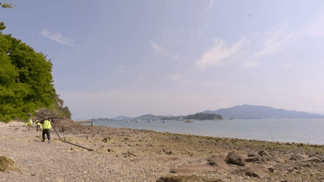 사람들이 바위 해변을 청소하는 모습