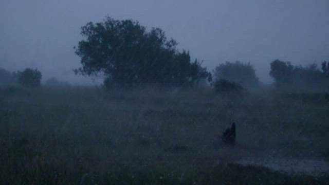 사바나 초원에 쏟아지는 폭우와 돌풍