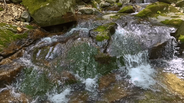 이끼 낀 바위를 흐르는 작은 폭포