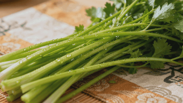 물방울이 맺힌 신선한 고수