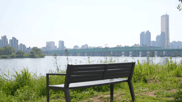 Riverside bench with view of city skyline