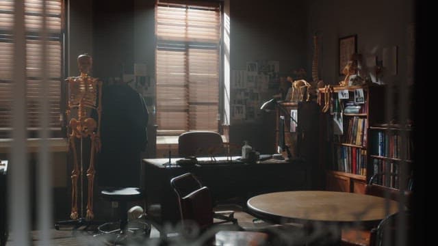 블라인드를 통해 들어오는 햇살이 있는 아늑한 진료실