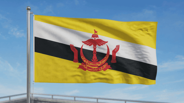 Brunei flag fluttering under clear sky