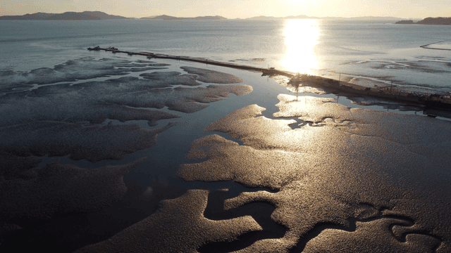 Sunset over a tranquil coastal mudflat