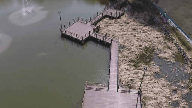 분수대가 있는 고요한 호수 옆 나무 데크