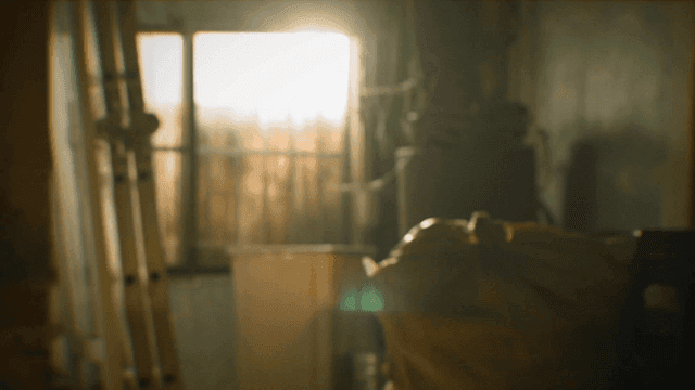 Sunlight coming into warehouse