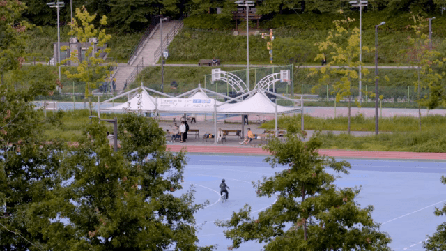 공원에서 휴식과 놀이를 즐기는 사람들