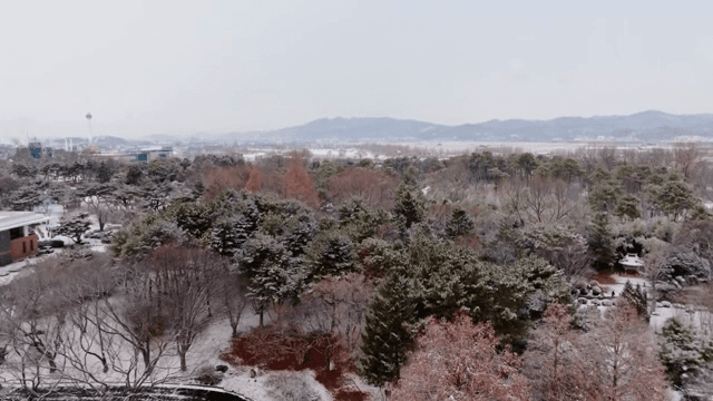 Snow-covered park with trees and paths