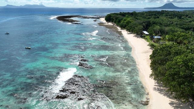 Clear beach with green forest on a sunny day