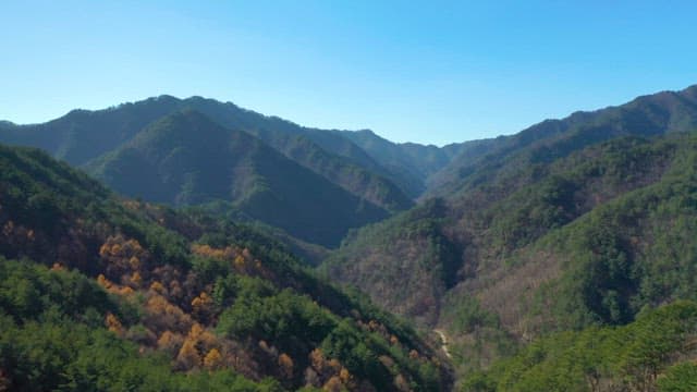 Aerial View of Lush Mountain Range on a Clear Day