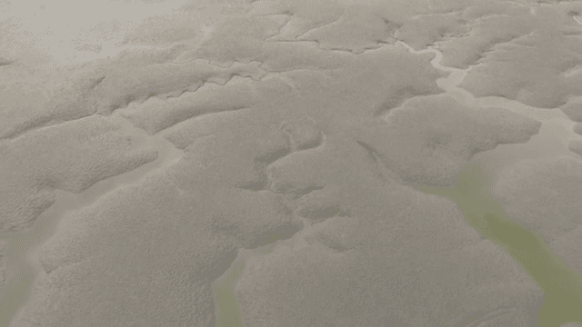 구불구불한 물길이 있는 넓은 갯벌