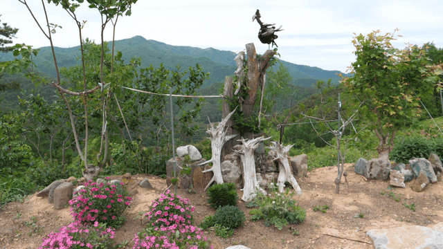 화려한 꽃이 있는 정원