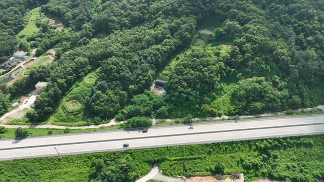 울창한 녹지 사이의 한적한 고속도로